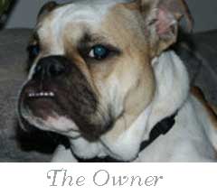 Meet the Owner